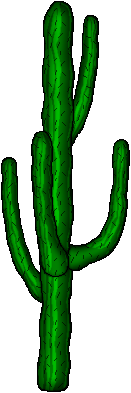 Rosie's cactus